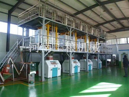 欽州市磨面機設備選購指南 優質供應商推薦與選購要點